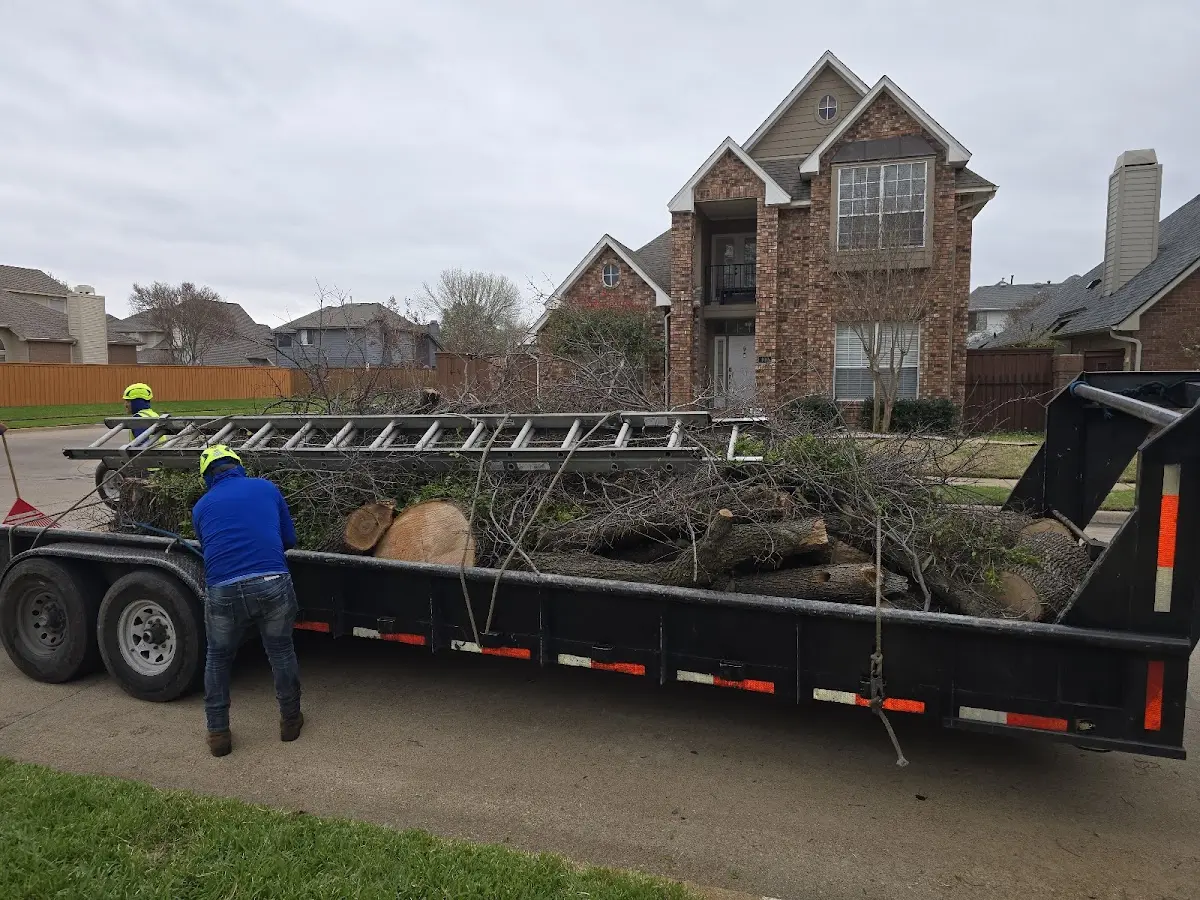 Expert Tree Fertilization with proper safety equipment in Kelford